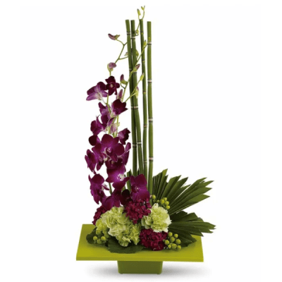 Purple orchids with green and pink flowers in a square green container