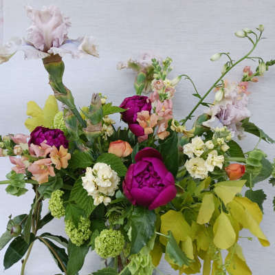 Big Spring - Designers Choice