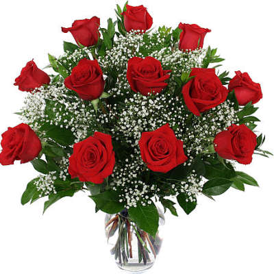 12 red Dozen Roses