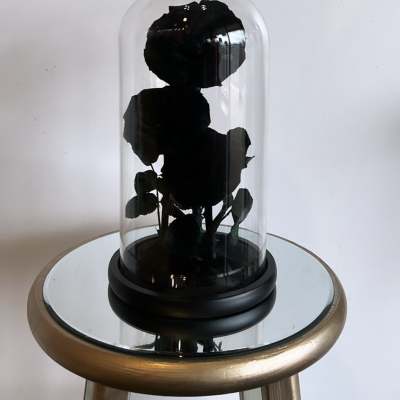 Single Black Preserved Rose (not shown in the picture)