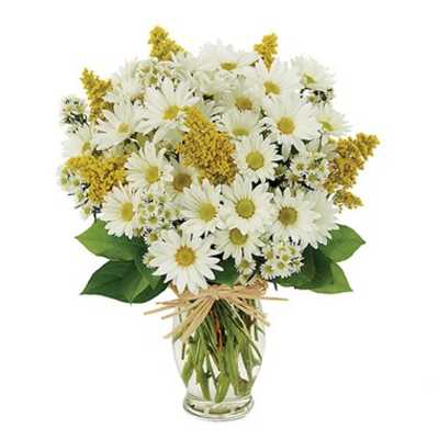 White daisy bouquet with yellow filler in a clear glass vase