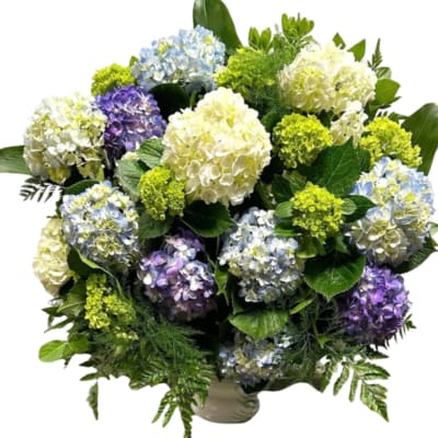 Bouquet of blue, purple, and white hydrangeas in a vase