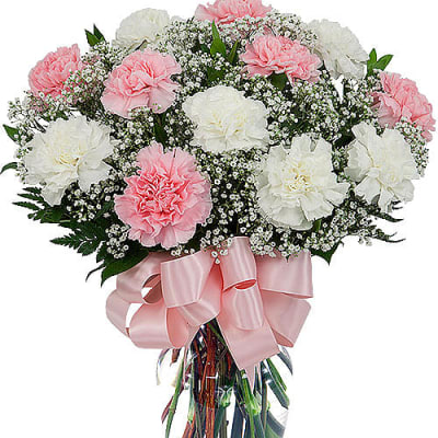 12 Pink & White Carnations