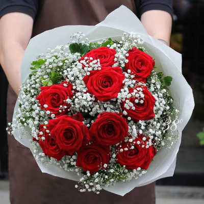 Bouquet of red roses with white baby's breath in white paper wrap