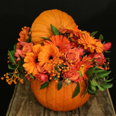Orange flowers arranged in a pumpkin centerpiece