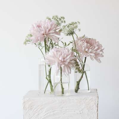 Three pale pink flowers in clear glass vases on a white pedestal
