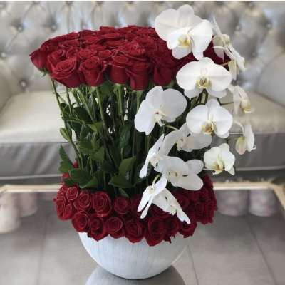 Red roses arranged in a white vase with white orchids