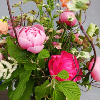 Loose arrangement of bright pink peonies with peach poppies and mixed blooms