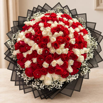 Large bouquet of red and white roses with black wrapping