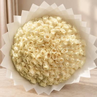 Bouquet of cream-colored roses wrapped in white paper