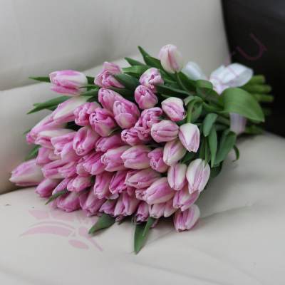 Bouquet of pink tulips wrapped in paper