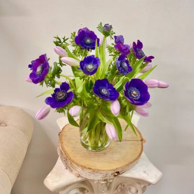 Purple anemones and pale pink tulips in a clear glass vase