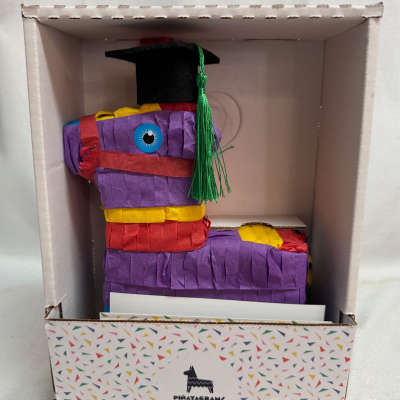 Graduation Piñata