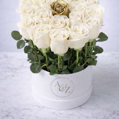 White roses arranged in a round white box with a gold rose at center