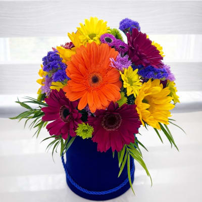 Sunburst Gerbera Daisy Hatbox Arrangeme