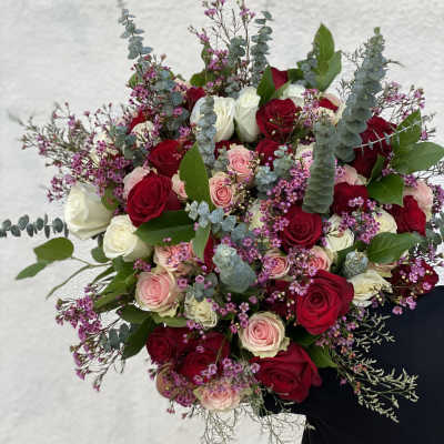 Bouquet of red, pink, and white roses with purple filler flowers