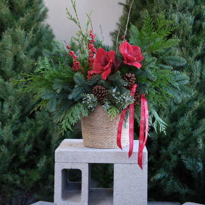 Holiday arrangement with red flowers in a woven basket