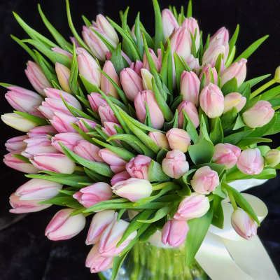 Bouquet of pink tulips in a glass vase with a white ribbon