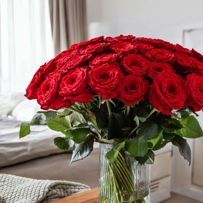 Large bouquet of red roses in a clear glass vase