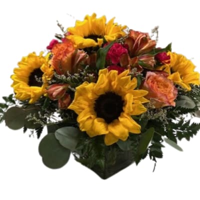 Bouquet of sunflowers, orange alstroemeria, and pink carnations in a vase