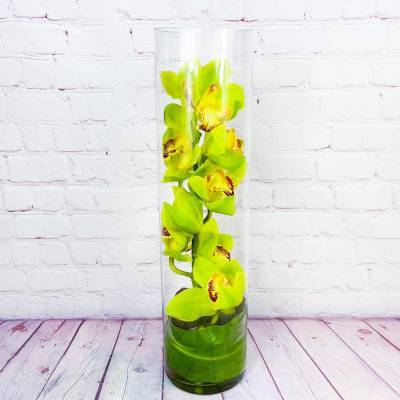 Tall glass vase with bright green orchids