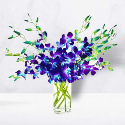 Purple and blue orchids in a clear glass vase