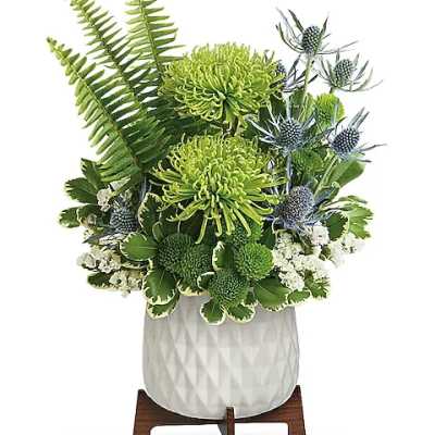 Green chrysanthemum arrangement in a white vase with blue thistle accents