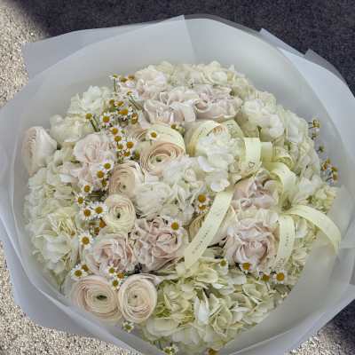 Bouquet of pale roses, ranunculus, hydrangeas, and small daisies wrapped in white paper