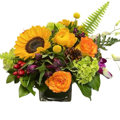Mixed bouquet with sunflowers, orange roses, and green hydrangeas in a square vase