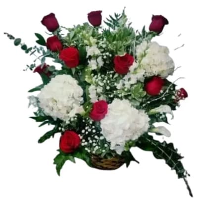 Basket arrangement of red roses and white hydrangeas