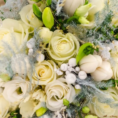 Cream roses and white tulips with silvery filler flowers