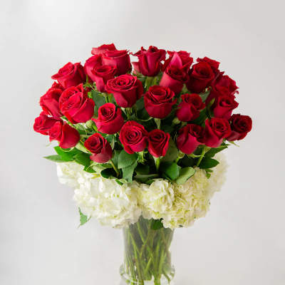 LAVISH - 35 or 75 LUXURY LONG STEM ROSES
