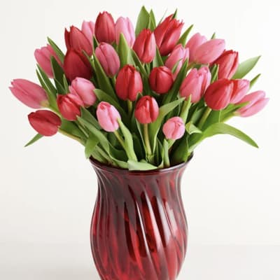 Bouquet of pink and red tulips in a red glass vase