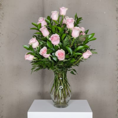 Blush Elegance – Pink Roses