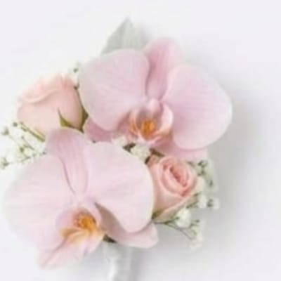 Small pink orchid and rose boutonniere on a white background