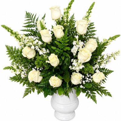 Elegancia Pura