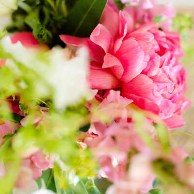 Close-up bouquet with bright pink blooms and white flowers