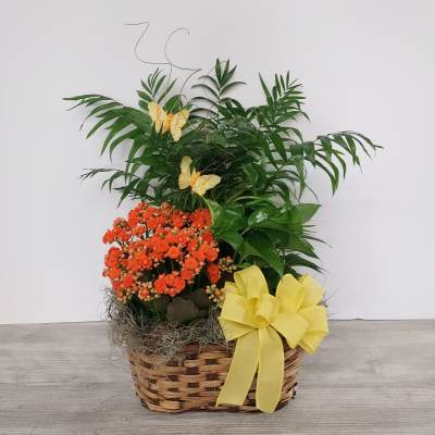 Triple Plant Basket