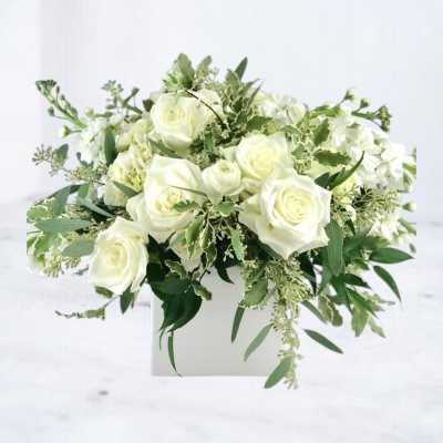 White rose arrangement in a white square vase