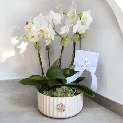 White orchid arrangement in a ribbed ceramic pot with a ribboned card