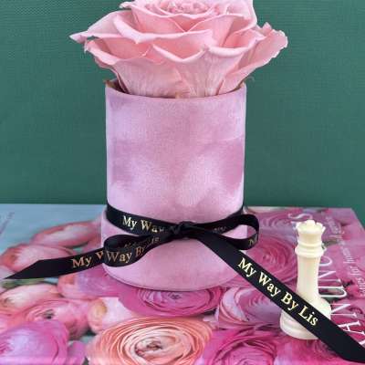 Violet. (PRESERVED ROSE)