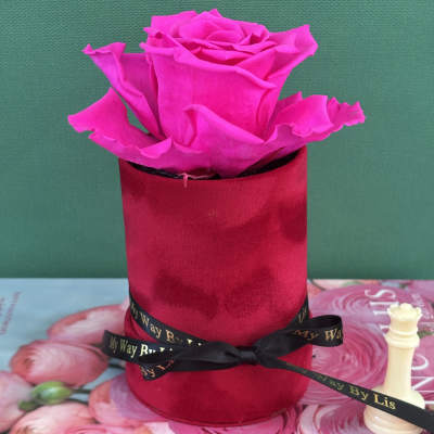 Babe. (PRESERVED ROSE)