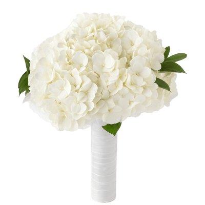 White hydrangea bouquet with green leaves and a wrapped handle