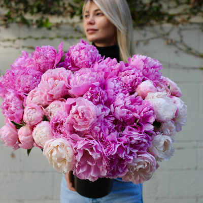 Large bouquet of pink and white peonies held by a woman