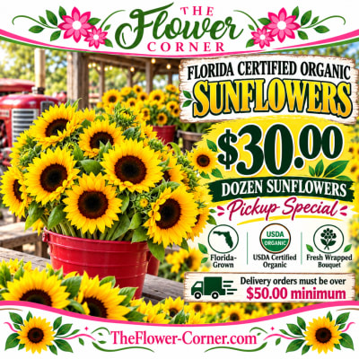 Bucket of sunflowers with a promotional sign and price text
