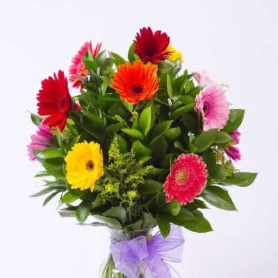 DOZEN GERBERA DAISY ARRANGEMENT