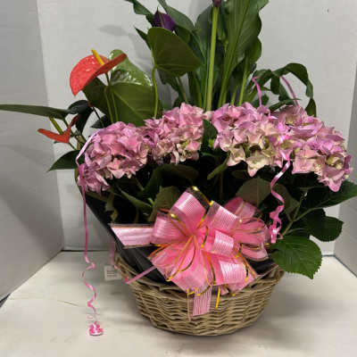 Pink hydrangeas and purple calla lilies in a wicker basket with a pink bow