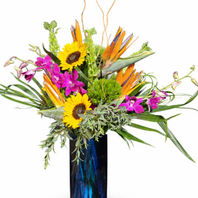 Tropical bouquet with sunflowers, purple orchids, and orange bird-of-paradise in a blue vase