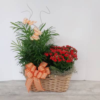 Basket planter with red flowering plant, leafy green plant, orange bows, and decorative butterflies