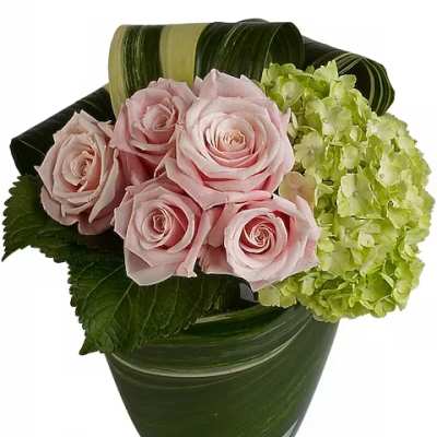 Pink roses and green hydrangea in a glass vase